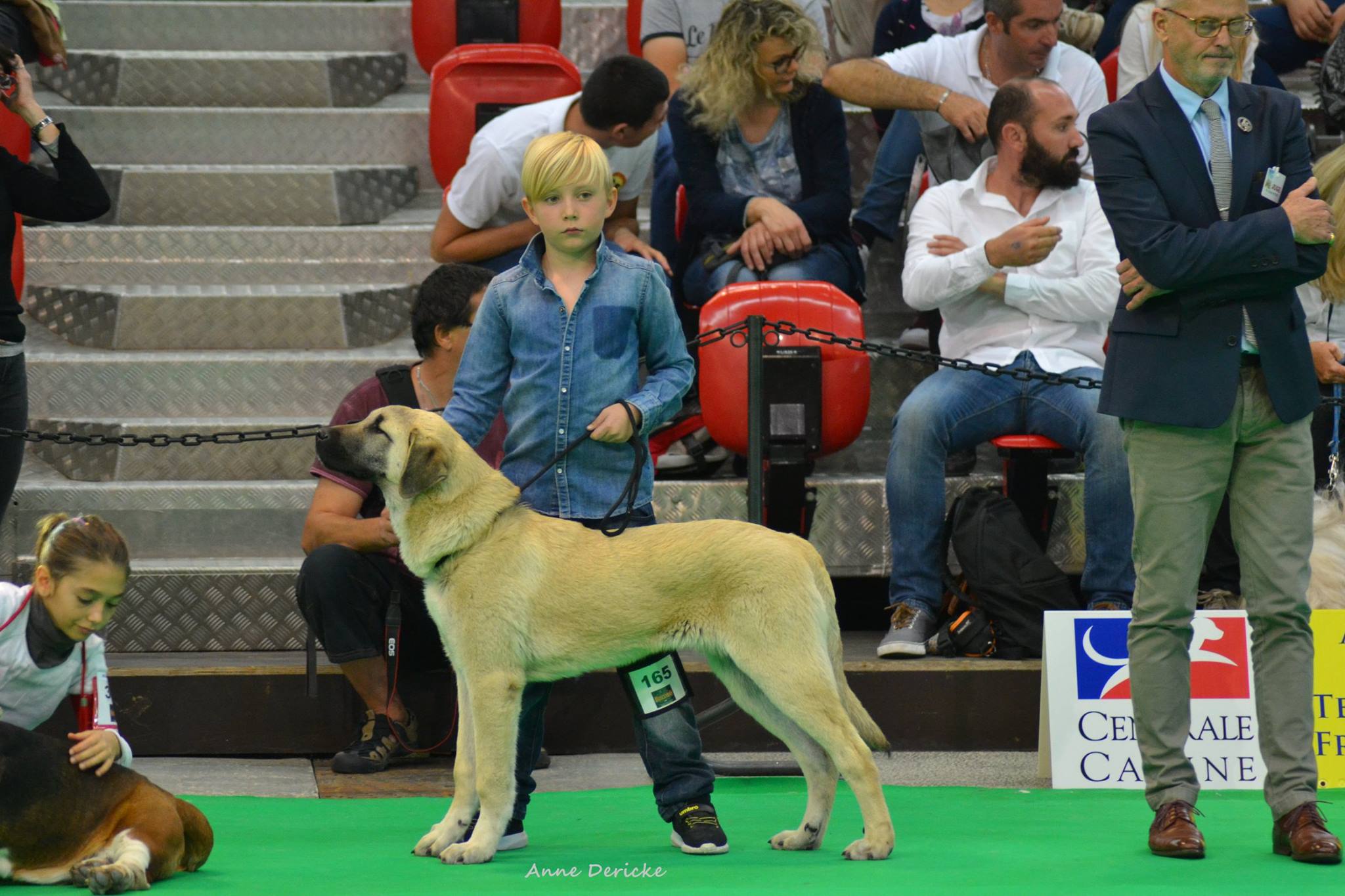 N'onder The Legend Of Kangal